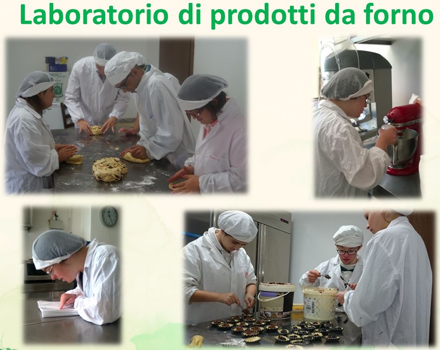 Laboratorio Prodotti da forno